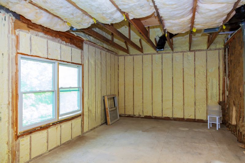 Interior Insulation Service in Georgetown, TX